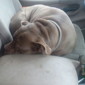 Meet your Posher, Brian